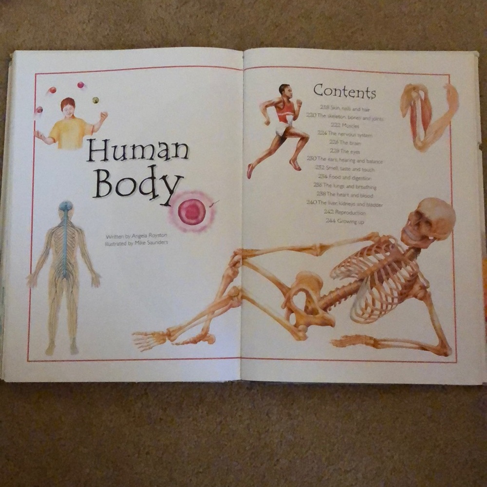 Book - Picture 5 of 7
